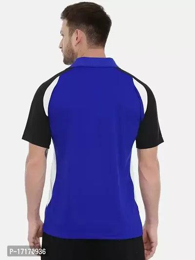 Men Colorblocked Combo Polo T-shirt combo of 2